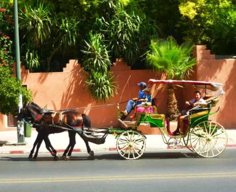 7 Days / 6 Nights Morocco Desert Discovery