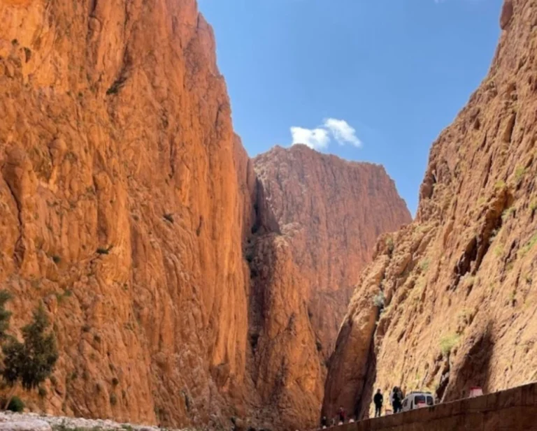 Unique Day Trip from Merzouga to Todra Gorges